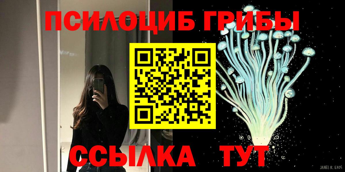 Псилоцибиновые грибы ЛСД Дивногорск