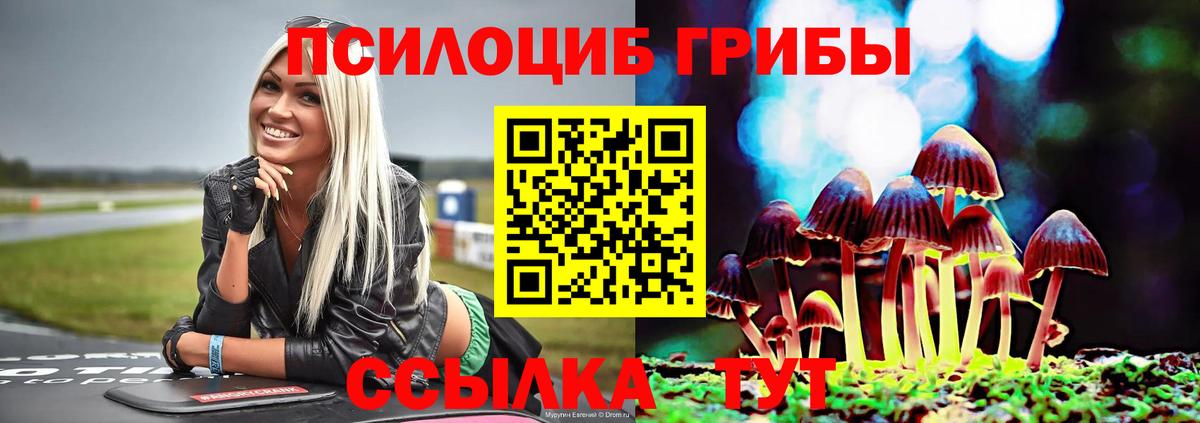 что такое   Галлюциногенные грибы прущие грибы  Псилоцибиновые грибы Cubensis  Вход с VPN  Дивногорск 